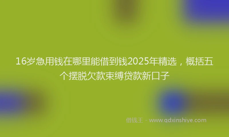 16岁急用钱在哪里能借到钱2025年精选，概括五个摆脱欠款束缚贷款新口子
