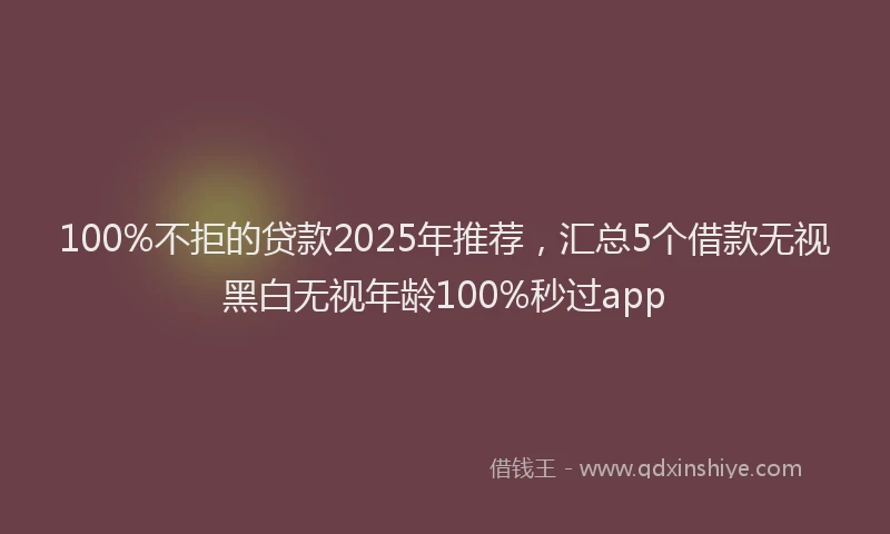 100%不拒的贷款2025年推荐，汇总5个借款无视黑白无视年龄100%秒过app