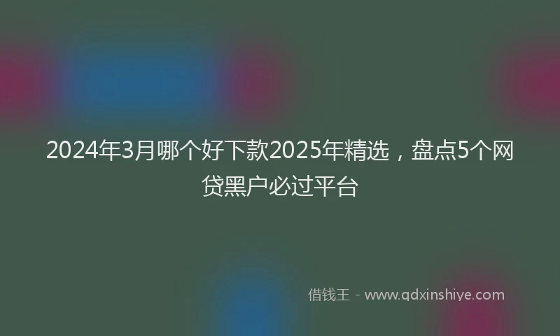 2024年3月哪个好下款2025年精选，盘点5个网贷黑户必过平台