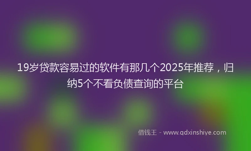 19岁贷款容易过的软件有那几个2025年推荐，归纳5个不看负债查询的平台