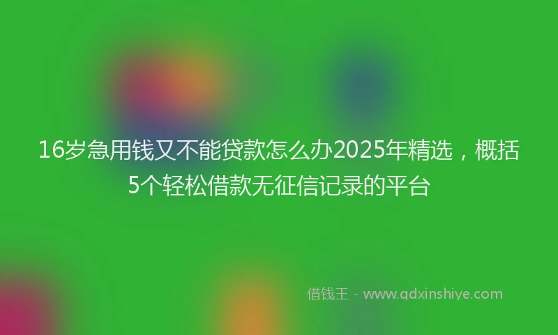 16岁急用钱又不能贷款怎么办2025年精选，概括5个轻松借款无征信记录的平台