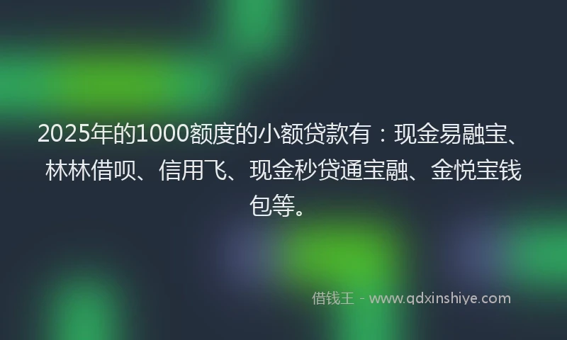 2025年的1000额度的小额贷款有：现金易融宝、林林借呗、信用飞、现金秒贷通宝融、金悦宝钱包等。