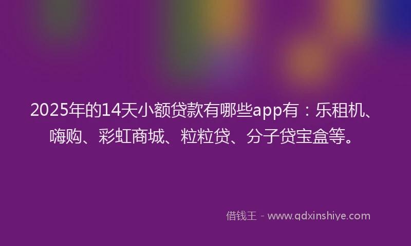 2025年的14天小额贷款有哪些app有：乐租机、嗨购、彩虹商城、粒粒贷、分子贷宝盒等。