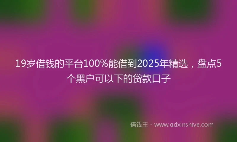 19岁借钱的平台100%能借到2025年精选，盘点5个黑户可以下的贷款口子