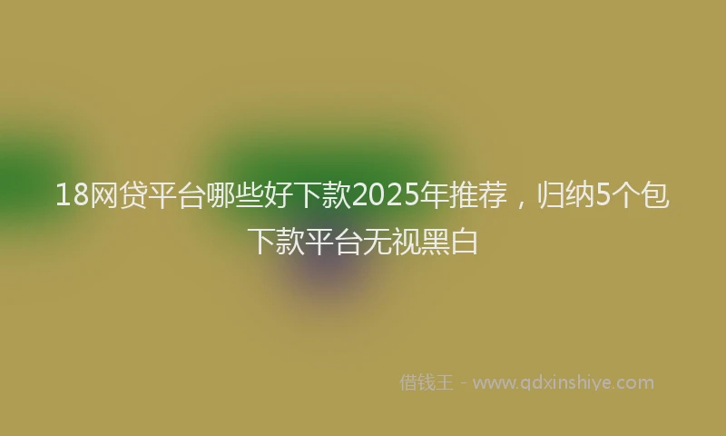18网贷平台哪些好下款2025年推荐，归纳5个包下款平台无视黑白
