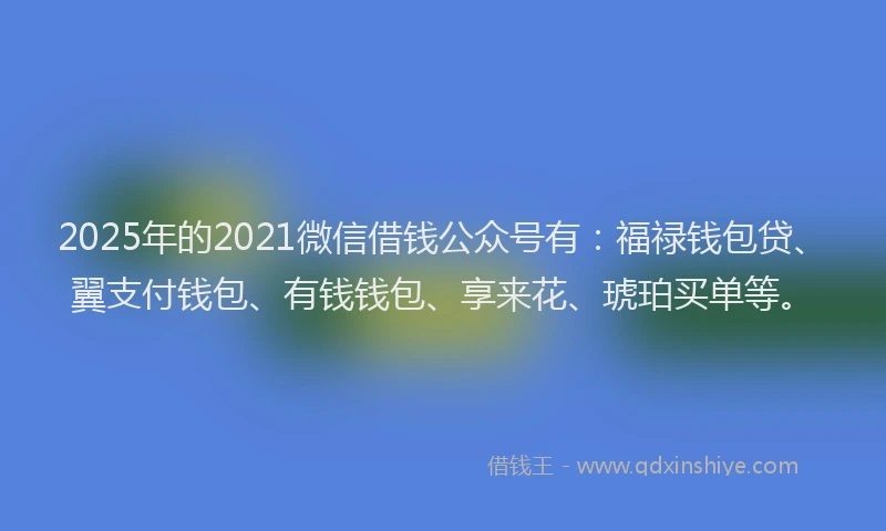 2025年的2021微信借钱公众号有：福禄钱包贷、翼支付钱包、有钱钱包、享来花、琥珀买单等。