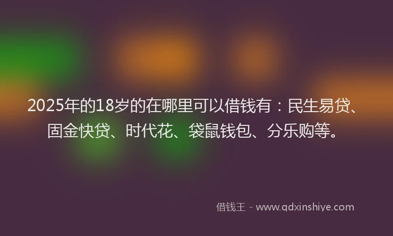 2025年的18岁的在哪里可以借钱有：民生易贷、固金快贷、时代花、袋鼠钱包、分乐购等。