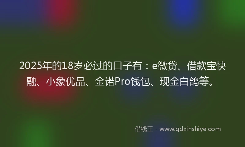 2025年的18岁必过的口子有：e微贷、借款宝快融、小象优品、金诺Pro钱包、现金白鸽等。