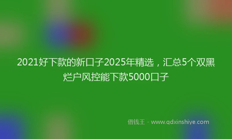 2021好下款的新口子2025年精选，汇总5个双黑烂户风控能下款5000口子