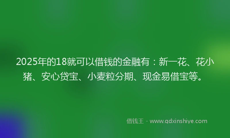 2025年的18就可以借钱的金融有：新一花、花小猪、安心贷宝、小麦粒分期、现金易借宝等。