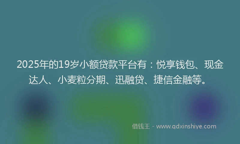 2025年的19岁小额贷款平台有：悦享钱包、现金达人、小麦粒分期、迅融贷、捷信金融等。