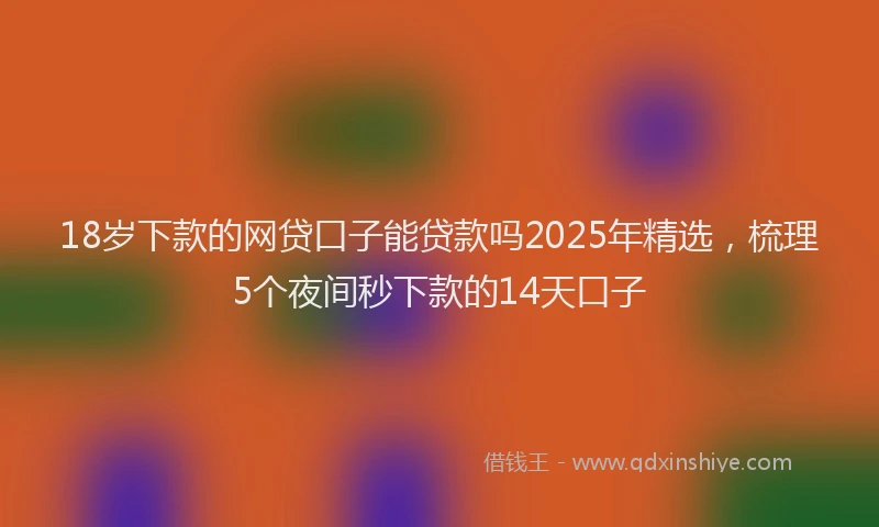 18岁下款的网贷口子能贷款吗2025年精选，梳理5个夜间秒下款的14天口子