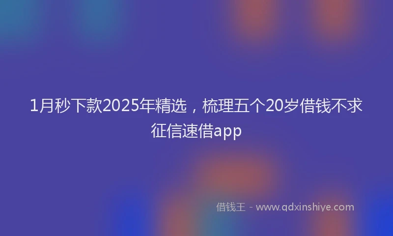 1月秒下款2025年精选，梳理五个20岁借钱不求征信速借app
