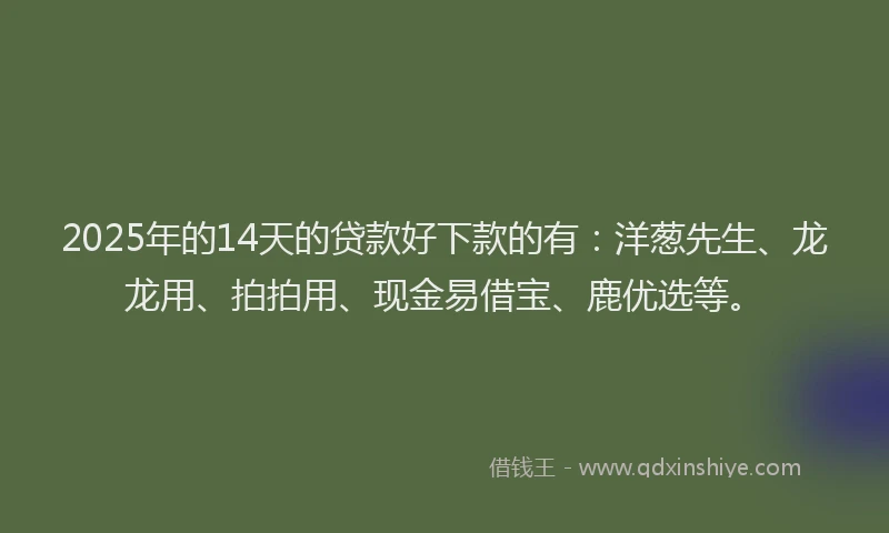 2025年的14天的贷款好下款的有：洋葱先生、龙龙用、拍拍用、现金易借宝、鹿优选等。