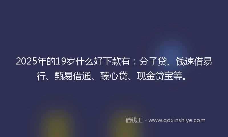 2025年的19岁什么好下款有：分子贷、钱速借易行、甄易借通、臻心贷、现金贷宝等。