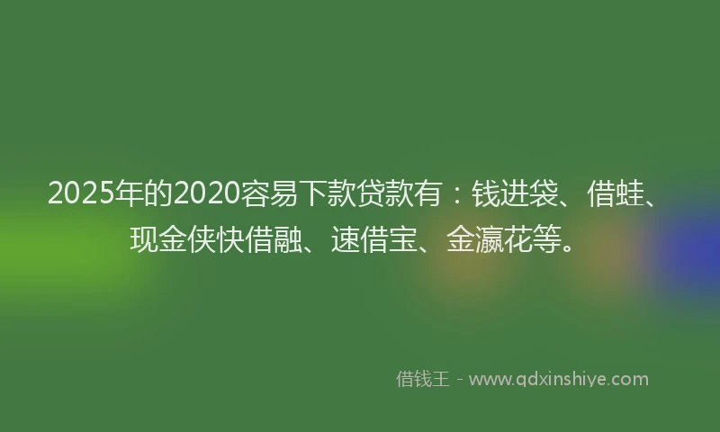 2025年的2020容易下款贷款有：钱进袋、借蛙、现金侠快借融、速借宝、金瀛花等。