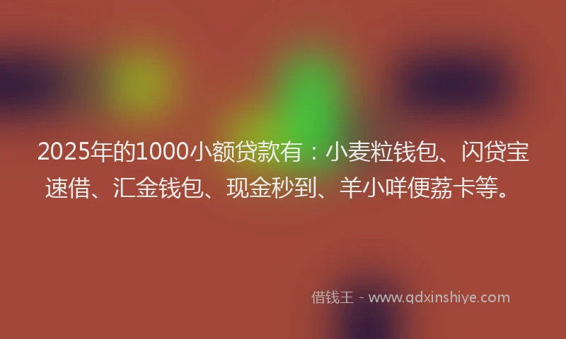2025年的1000小额贷款有：小麦粒钱包、闪贷宝速借、汇金钱包、现金秒到、羊小咩便荔卡等。