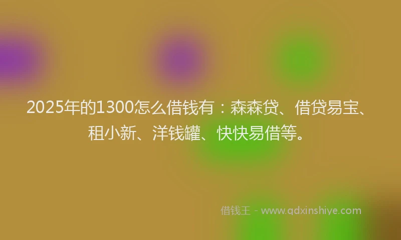 2025年的1300怎么借钱有：森森贷、借贷易宝、租小新、洋钱罐、快快易借等。