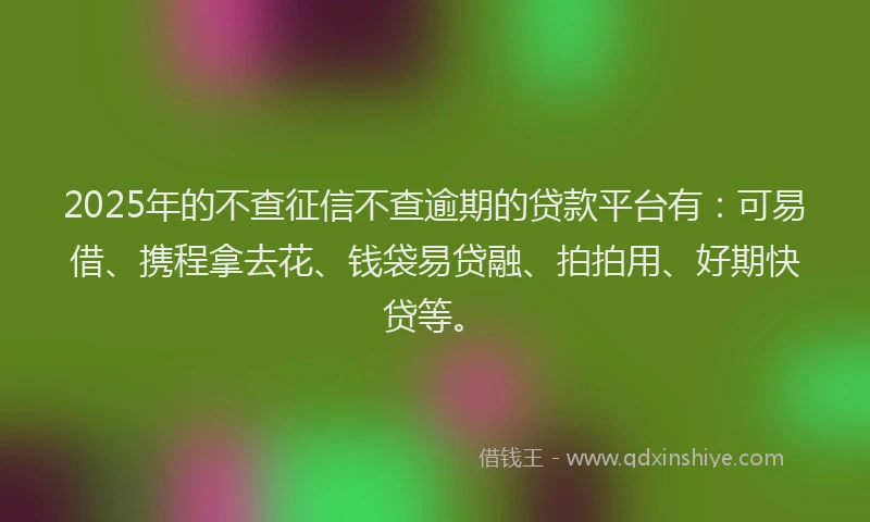 2025年的不查征信不查逾期的贷款平台有：可易借、携程拿去花、钱袋易贷融、拍拍用、好期快贷等。