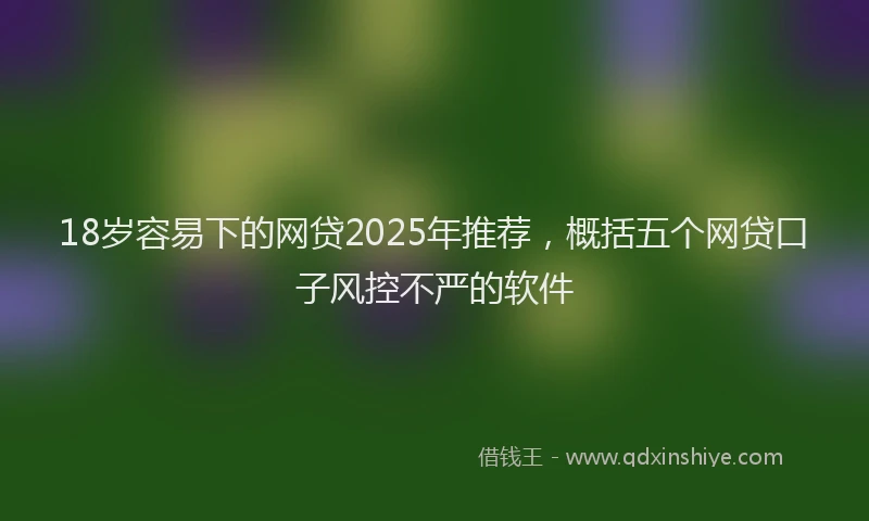 18岁容易下的网贷2025年推荐，概括五个网贷口子风控不严的软件