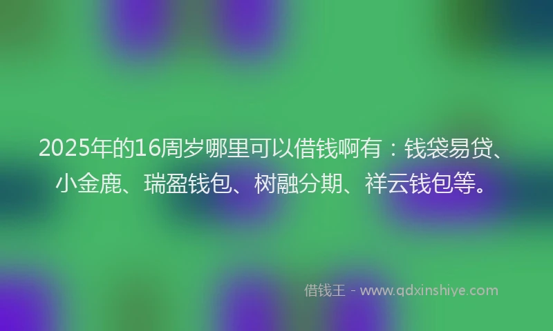 2025年的16周岁哪里可以借钱啊有：钱袋易贷、小金鹿、瑞盈钱包、树融分期、祥云钱包等。