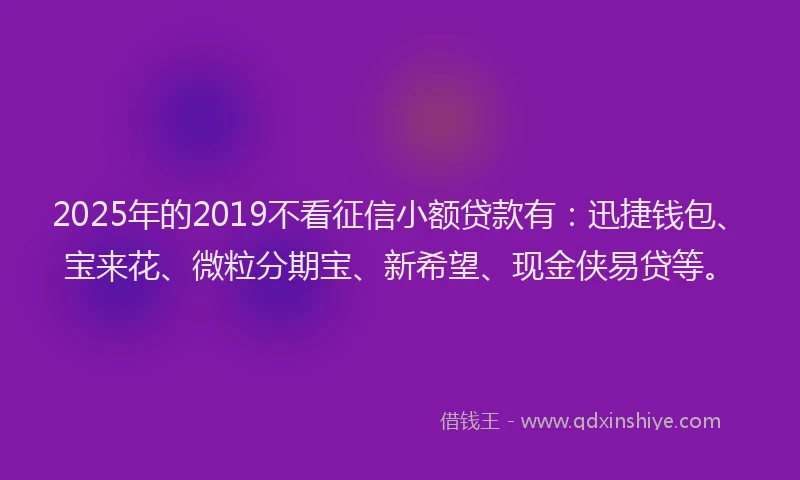 2025年的2019不看征信小额贷款有：迅捷钱包、宝来花、微粒分期宝、新希望、现金侠易贷等。