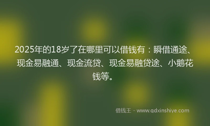 2025年的18岁了在哪里可以借钱有：瞬借通途、现金易融通、现金流贷、现金易融贷途、小鹅花钱等。