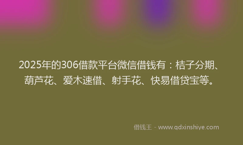 2025年的306借款平台微信借钱有：桔子分期、葫芦花、爱木速借、射手花、快易借贷宝等。