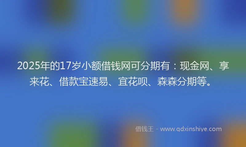 2025年的17岁小额借钱网可分期有：现金网、享来花、借款宝速易、宜花呗、森森分期等。