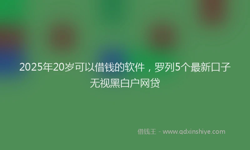 2025年20岁可以借钱的软件，罗列5个最新口子无视黑白户网贷