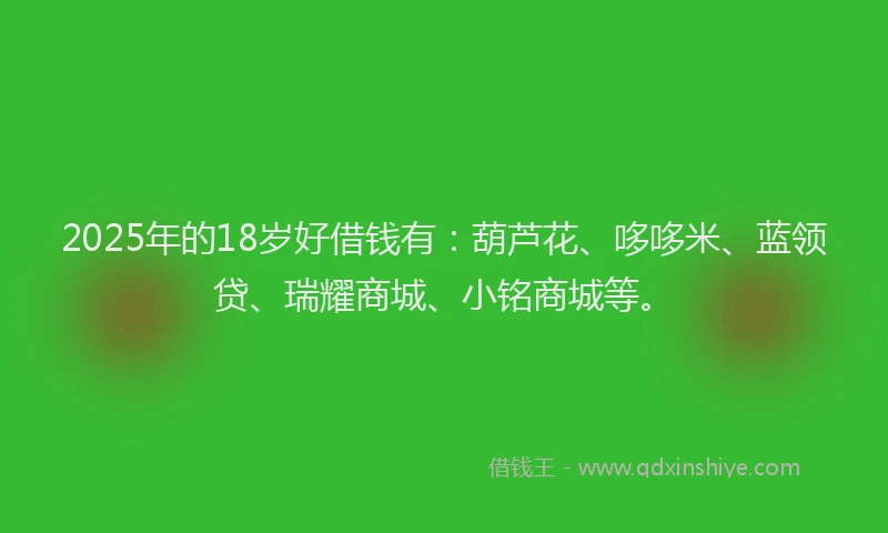 2025年的18岁好借钱有：葫芦花、哆哆米、蓝领贷、瑞耀商城、小铭商城等。