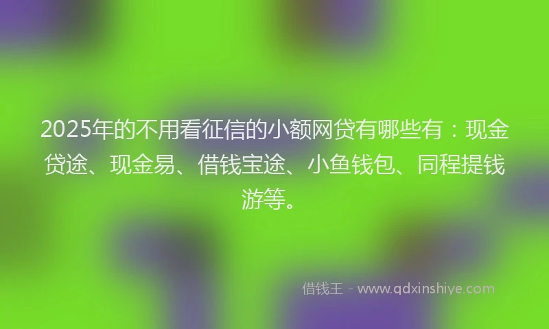 2025年的不用看征信的小额网贷有哪些有：现金贷途、现金易、借钱宝途、小鱼钱包、同程提钱游等。
