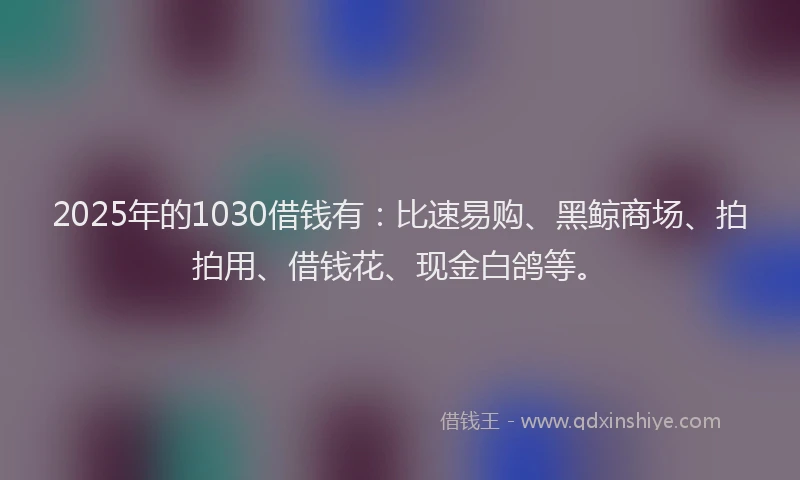 2025年的1030借钱有：比速易购、黑鲸商场、拍拍用、借钱花、现金白鸽等。