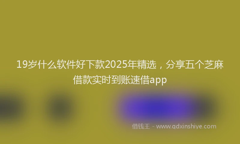 19岁什么软件好下款2025年精选，分享五个芝麻借款实时到账速借app