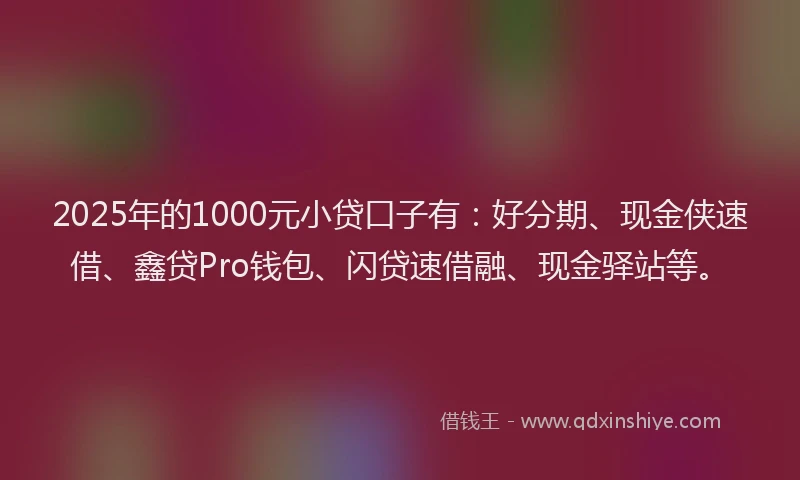 2025年的1000元小贷口子有：好分期、现金侠速借、鑫贷Pro钱包、闪贷速借融、现金驿站等。