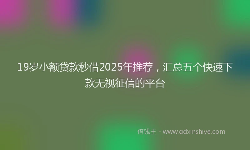 19岁小额贷款秒借2025年推荐，汇总五个快速下款无视征信的平台