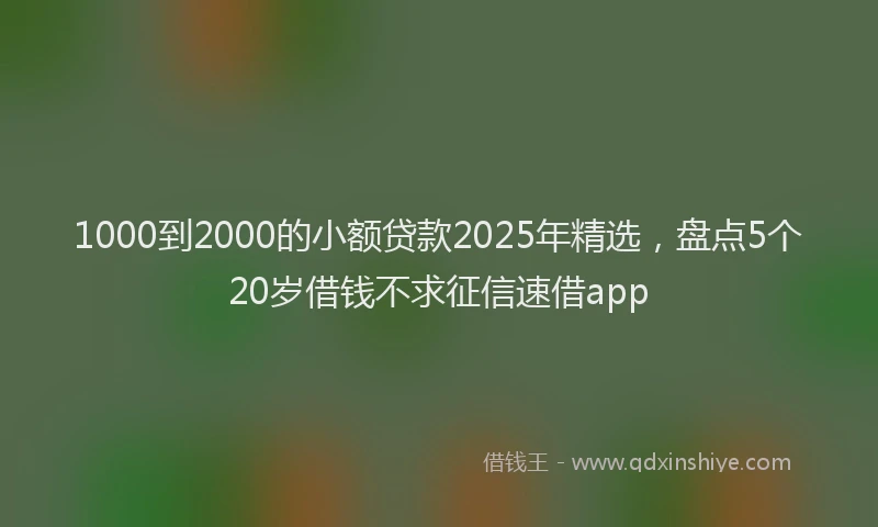 1000到2000的小额贷款2025年精选，盘点5个20岁借钱不求征信速借app