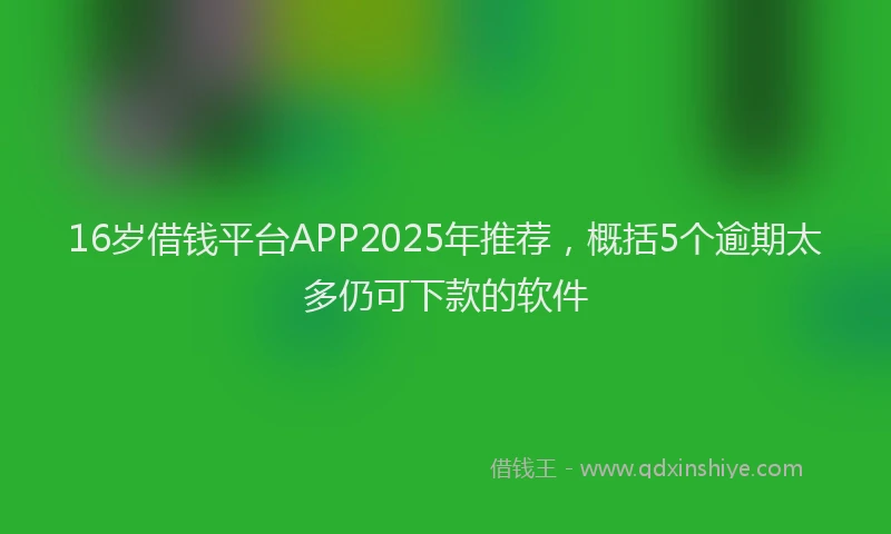 16岁借钱平台APP2025年推荐，概括5个逾期太多仍可下款的软件