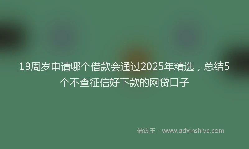 19周岁申请哪个借款会通过2025年精选，总结5个不查征信好下款的网贷口子