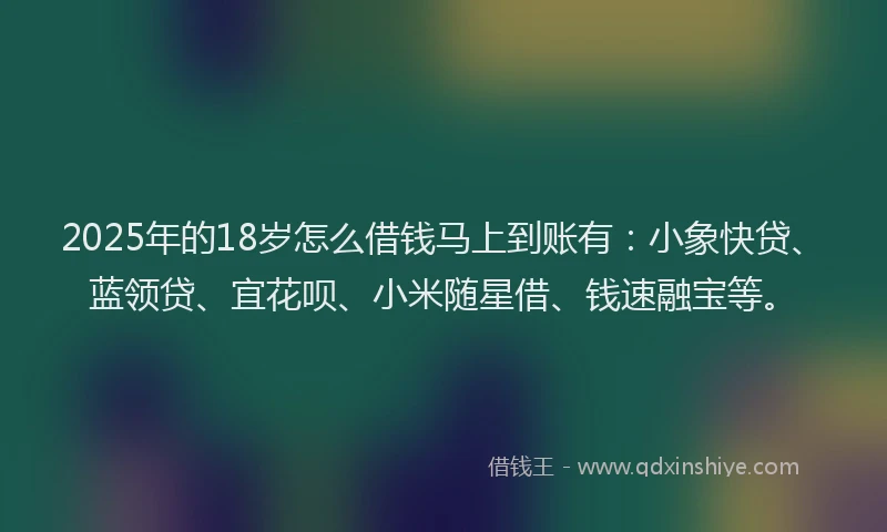 2025年的18岁怎么借钱马上到账有：小象快贷、蓝领贷、宜花呗、小米随星借、钱速融宝等。