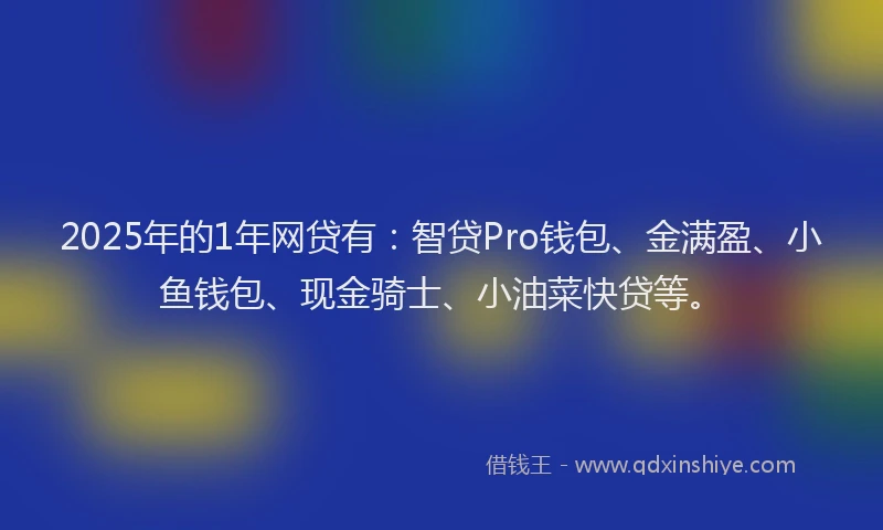 2025年的1年网贷有：智贷Pro钱包、金满盈、小鱼钱包、现金骑士、小油菜快贷等。