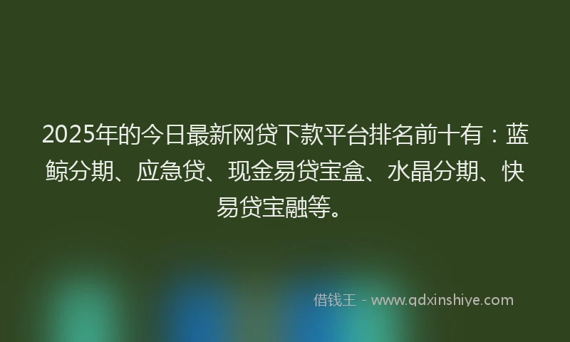 2025年的今日最新网贷下款平台排名前十有：蓝鲸分期、应急贷、现金易贷宝盒、水晶分期、快易贷宝融等。