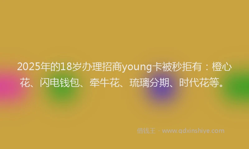 2025年的18岁办理招商young卡被秒拒有：橙心花、闪电钱包、牵牛花、琉璃分期、时代花等。