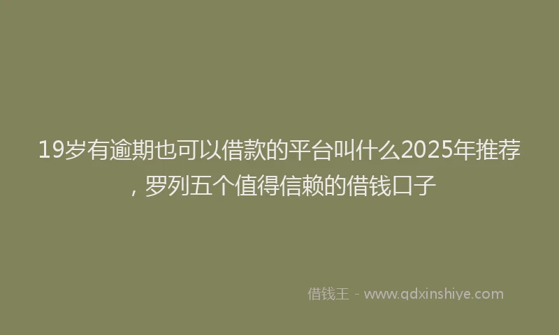 19岁有逾期也可以借款的平台叫什么2025年推荐，罗列五个值得信赖的借钱口子