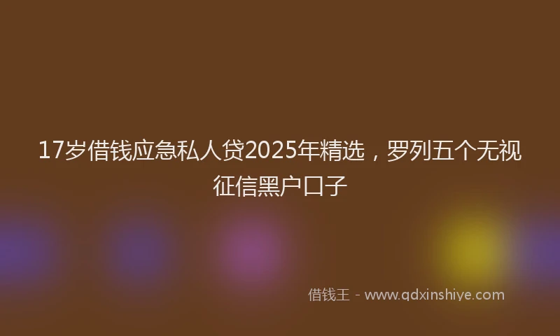 17岁借钱应急私人贷2025年精选，罗列五个无视征信黑户口子