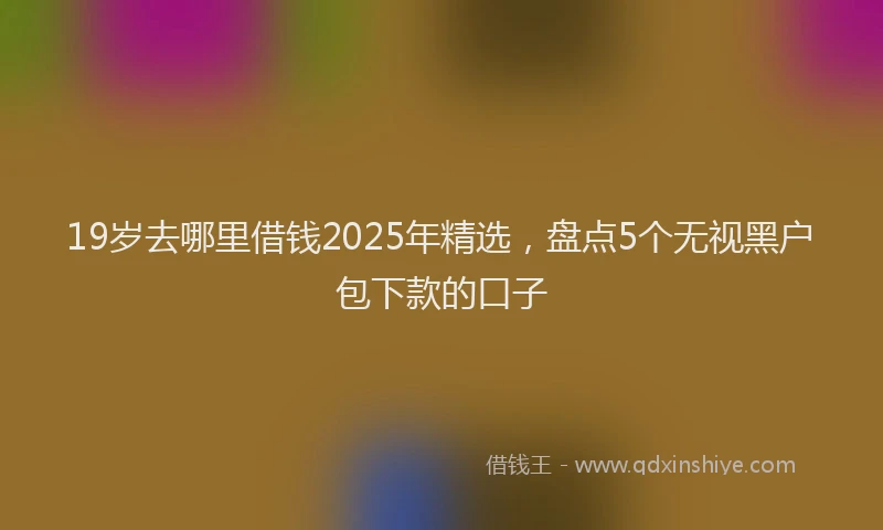 19岁去哪里借钱2025年精选，盘点5个无视黑户包下款的口子