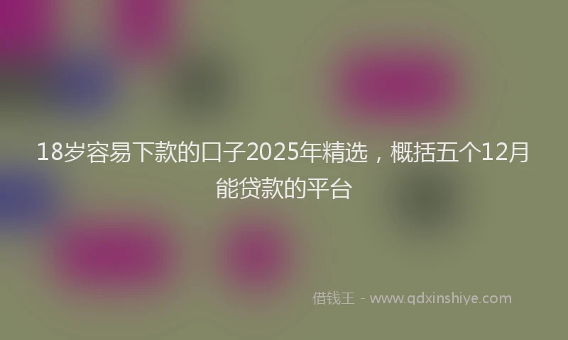 18岁容易下款的口子2025年精选，概括五个12月能贷款的平台