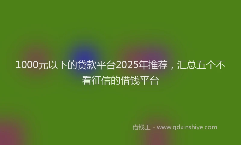 1000元以下的贷款平台2025年推荐，汇总五个不看征信的借钱平台
