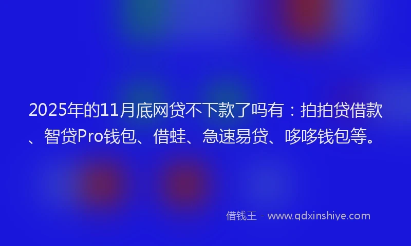 2025年的11月底网贷不下款了吗有：拍拍贷借款、智贷Pro钱包、借蛙、急速易贷、哆哆钱包等。