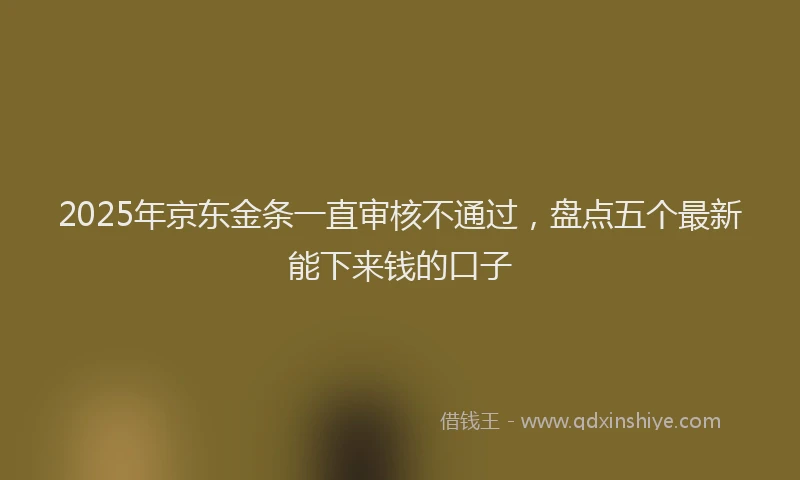 2025年京东金条一直审核不通过，盘点五个最新能下来钱的口子